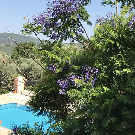 Apart-hotel Apart Akasya Oludeniz