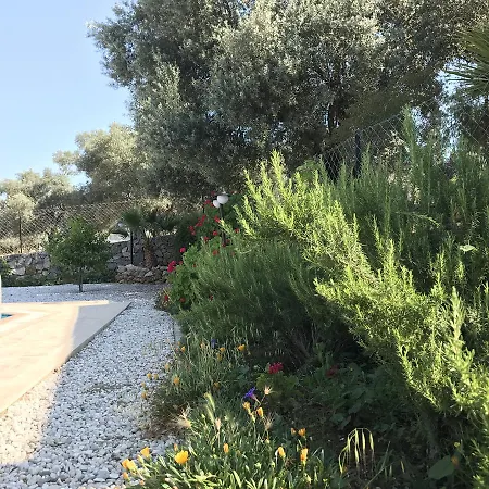 Apartmanhotel Apart Akasya Oludeniz